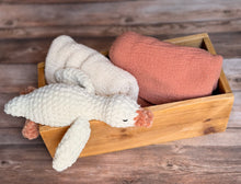 Laden Sie das Bild in den Galerie-Viewer, Sweet Sleepy Goose
