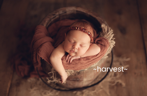 Harvest Wraps  - Regular Length
