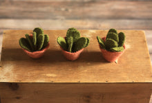Load image into Gallery viewer, Little Felt Cactus
