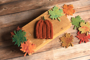 Newborn Pumpkin Beanie Hat